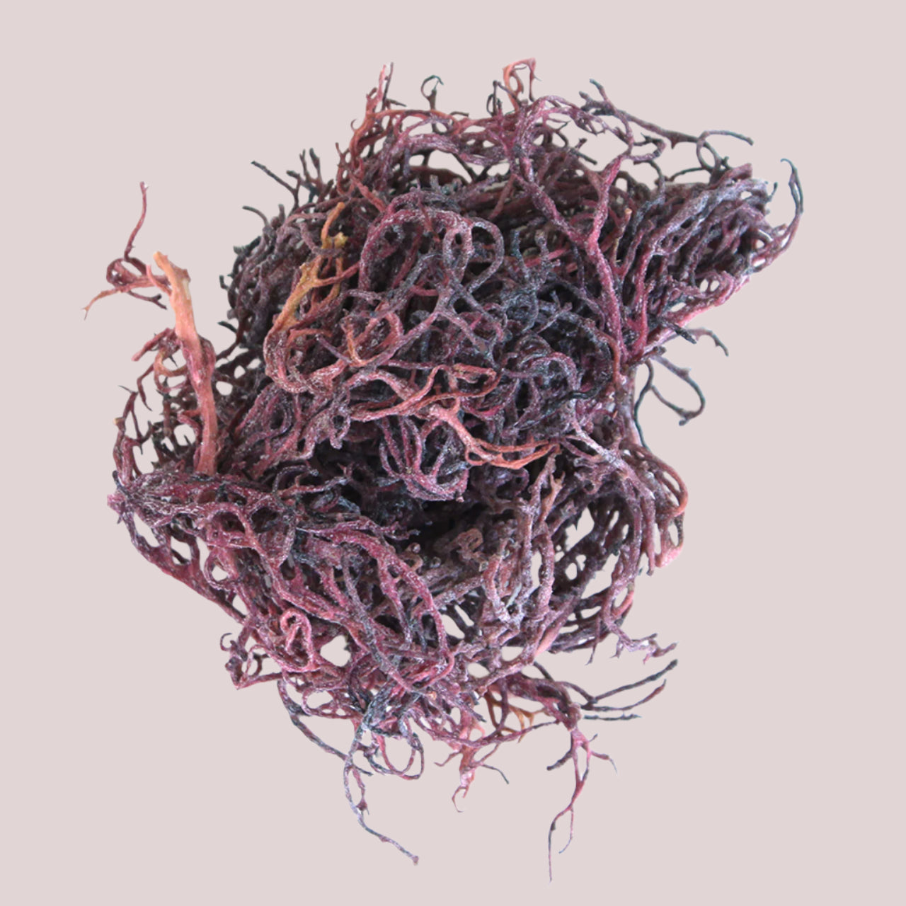 African Purple Irish Sea Moss - 4 oz.