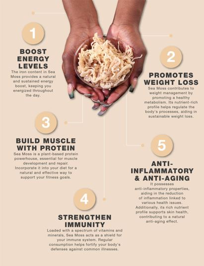 All Natural Wildcrafted Sea Moss 500 grams